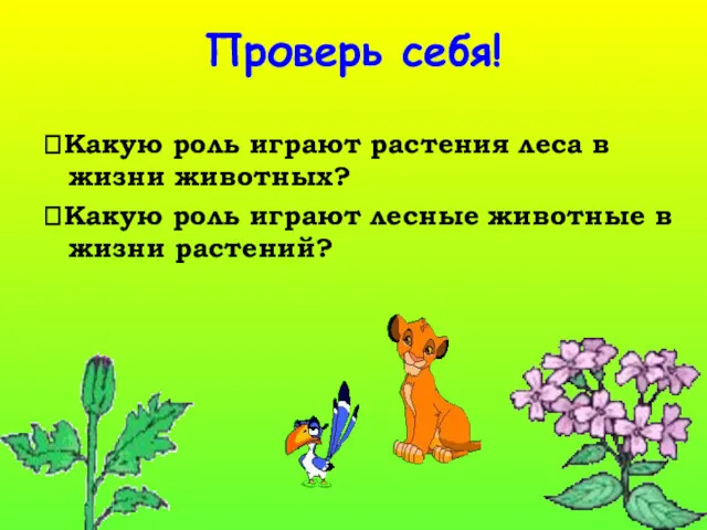 Проверь себя! ?Какую роль играют растения леса в жизни животных?