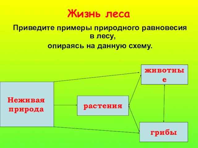 Жизнь леса Приведите примеры природного равновесия в лесу, опираясь на