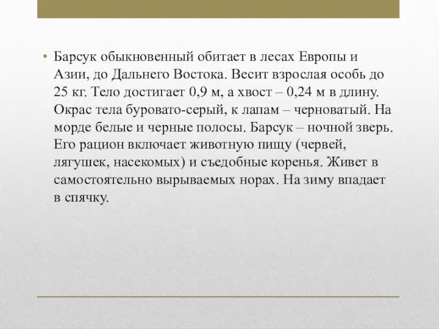 Барсук обыкновенный обитает в лесах Европы и Азии, до Дальнего