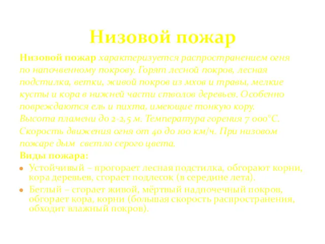 Низовой пожар Низовой пожар характеризуется распространением огня по напочвенному покрову.