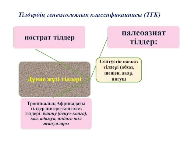 Тілдердің генеологиялық классификациясы (ТГК) Солтүстік кавказ тілдері (абхаз, шешен, авар, ингуш Енисей (кет,