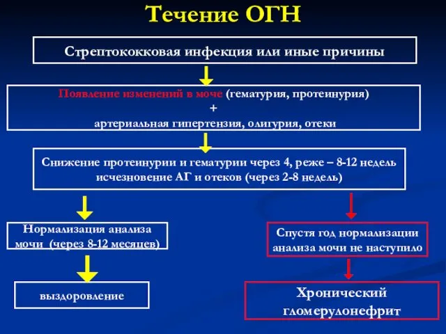 Течение ОГН Стрептококковая инфекция или иные причины Появление изменений в