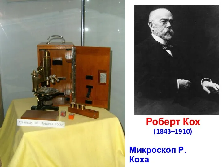 Микроскоп Р. Коха Роберт Кох (1843–1910)