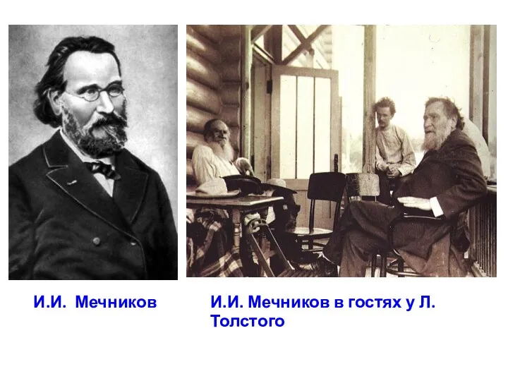 И.И. Мечников И.И. Мечников в гостях у Л. Толстого