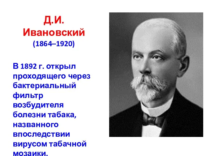 Д.И. Ивановский (1864–1920) В 1892 г. открыл проходящего через бактериальный