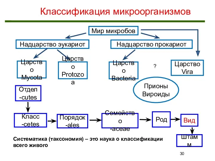 Классификация микроорганизмов Мир микробов Надцарство эукариот Надцарство прокариот Царство Mycota