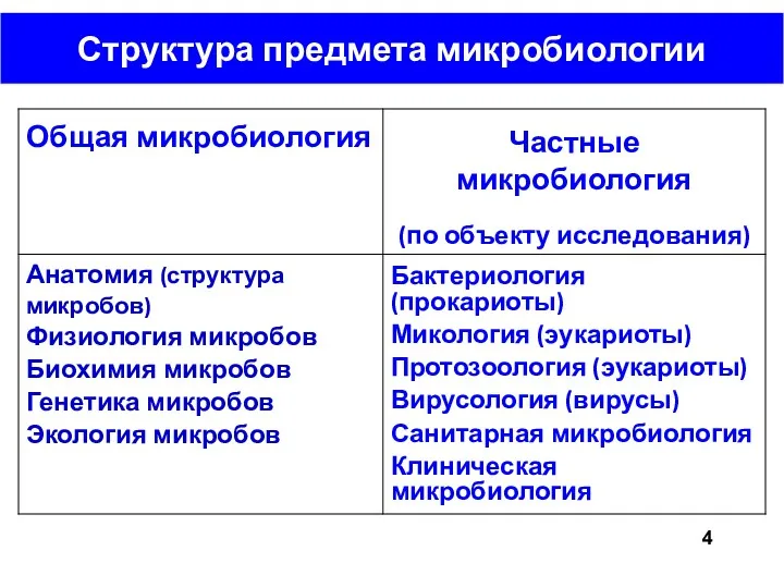 Структура предмета микробиологии