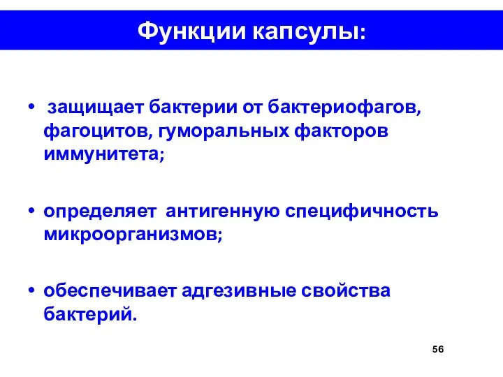 Функции капсулы: защищает бактерии от бактериофагов, фагоцитов, гуморальных факторов иммунитета; определяет антигенную специфичность