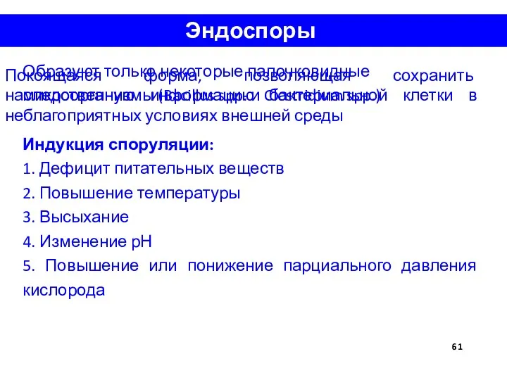 Эндоспоры Образуют только некоторые палочковидные микроорганизмы (Bacillus spp. и Clostridium