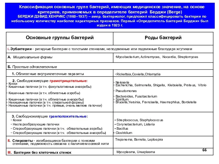 Классификация основных групп бактерий, имеющих медицинское значение, на основе критериев, применяемых в определителе