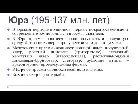 Юра (195-137 млн. лет) В юрском периоде появились первые покрытосеменные