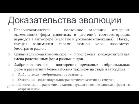 Доказательства эволюции Палеонтологическое – послойное залегание отмерших окаменевших форм животных