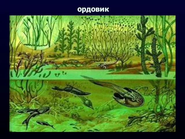 ордовик