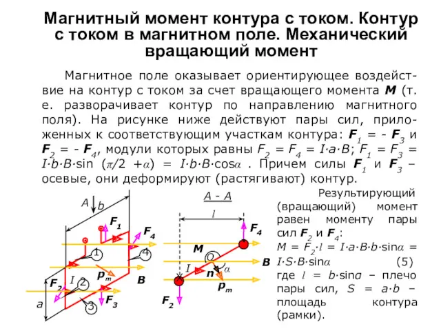 Магнитный момент контура с током. Контур с током в магнитном