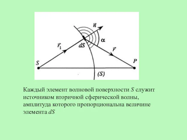 Каждый элемент волновой поверхности S служит источником вторичной сферической волны, амплитуда которого пропорциональна величине элемента dS