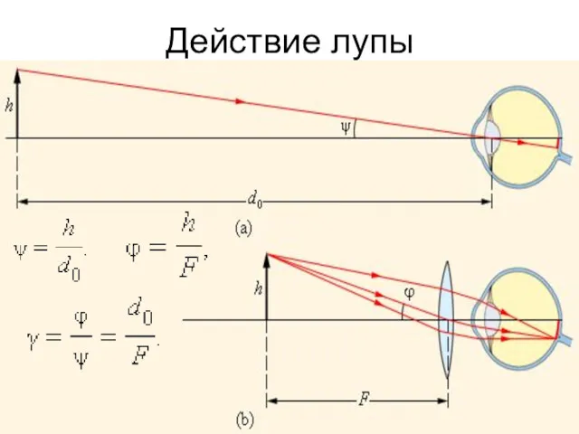 Действие лупы