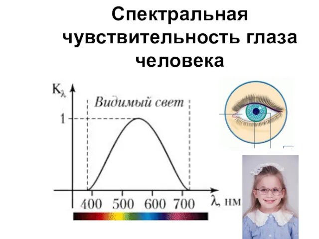 Спектральная чувствительность глаза человека