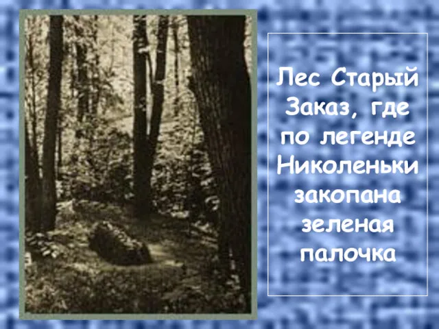 Лес Старый Заказ, где по легенде Николеньки закопана зеленая палочка