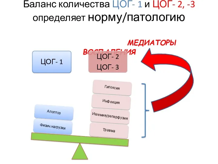 Баланс количества ЦОГ- 1 и ЦОГ- 2, -3 определяет норму/патологию МЕДИАТОРЫ ВОСПАЛЕНИЯ