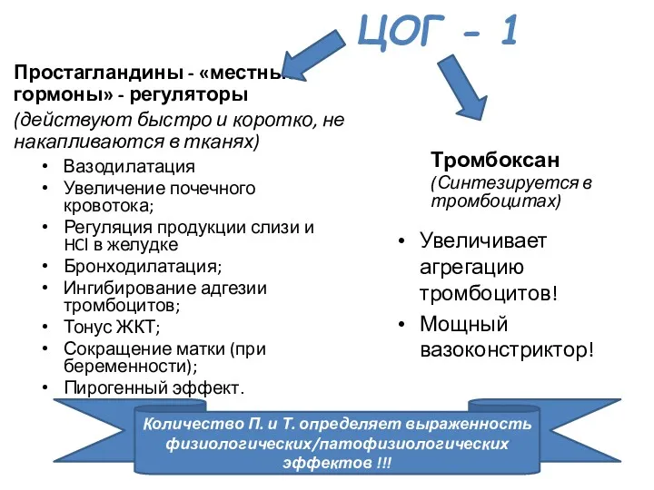 ЦОГ - 1 Простагландины - «местные гормоны» - регуляторы (действуют