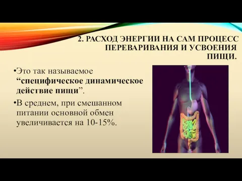 2. РАСХОД ЭНЕРГИИ НА САМ ПРОЦЕСС ПЕРЕВАРИВАНИЯ И УСВОЕНИЯ ПИЩИ.