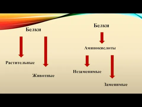 Белки Растительные Животные Белки Аминокислоты Незаменимые Заменимые