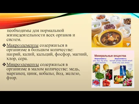 необходимы для нормальной жизнедеятельности всех органов и систем. Макроэлементы содержаться