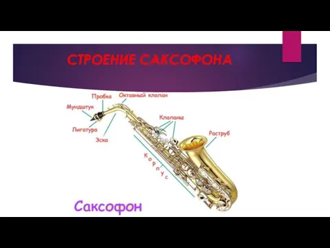 СТРОЕНИЕ САКСОФОНА