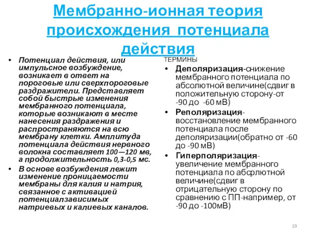 Мембранно-ионная теория происхождения потенциала действия Потенциал действия, или импульсное возбуждение,