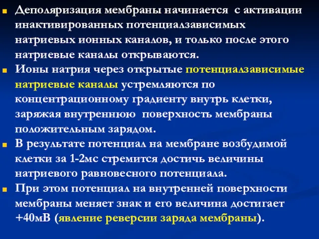 Деполяризация мембраны начинается с активации инактивированных потенциалзависимых натриевых ионных каналов,