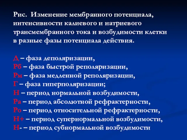 Рис. Изменение мембранного потенциала, интенсивности калиевого и натриевого трансмембранного тока