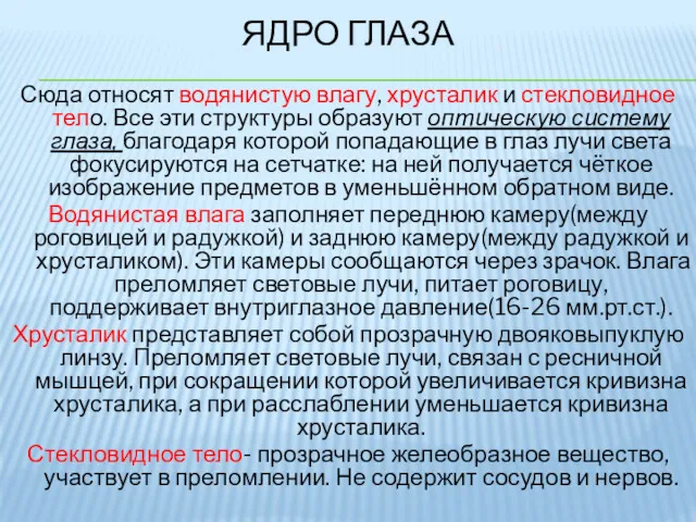 ЯДРО ГЛАЗА Сюда относят водянистую влагу, хрусталик и стекловидное тело.