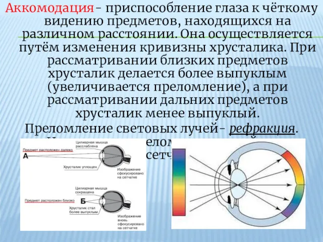 Аккомодация- приспособление глаза к чёткому видению предметов, находящихся на различном