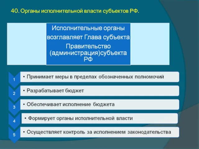 40. Органы исполнительной власти субъектов РФ.