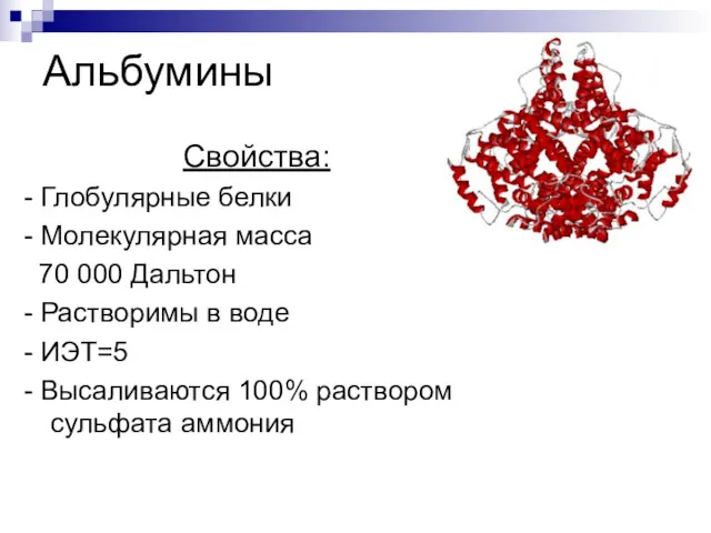 Альбумины Свойства: - Глобулярные белки - Молекулярная масса 70 000 Дальтон - Растворимы