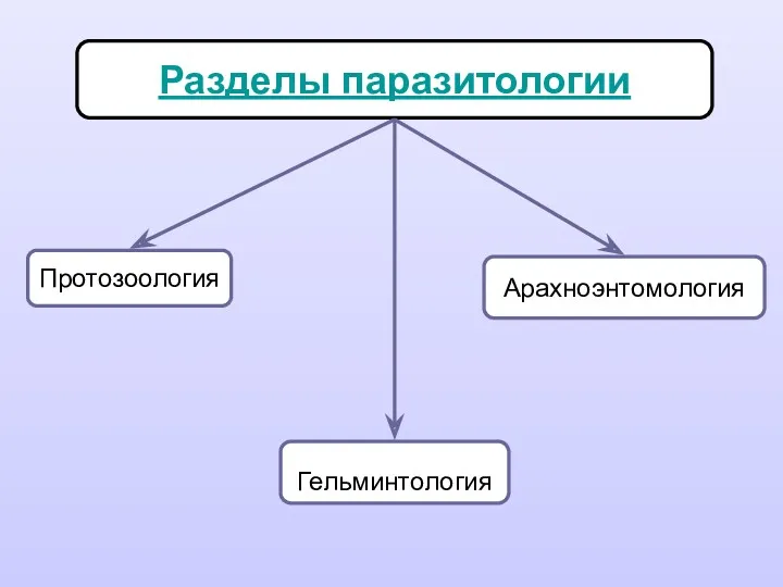 Разделы паразитологии Протозоология Арахноэнтомология Гельминтология