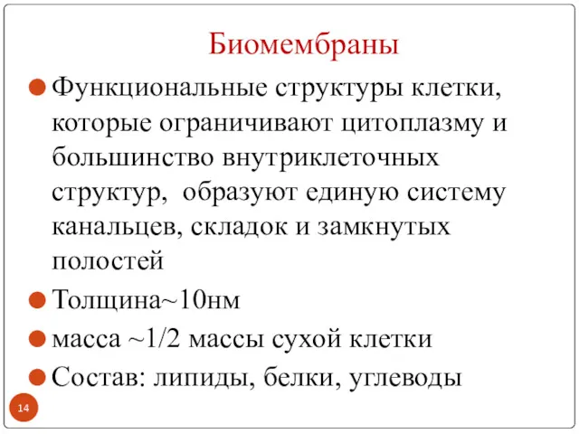 Биомембраны Функциональные структуры клетки, которые ограничивают цитоплазму и большинство внутриклеточных