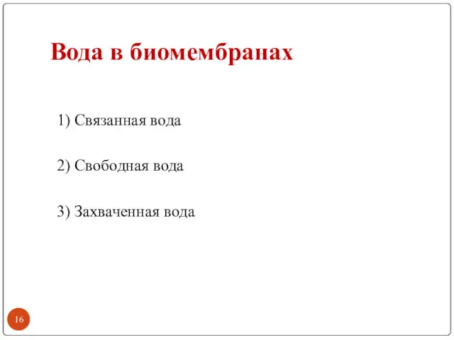 Вода в биомембранах 1) Связанная вода 2) Свободная вода 3) Захваченная вода