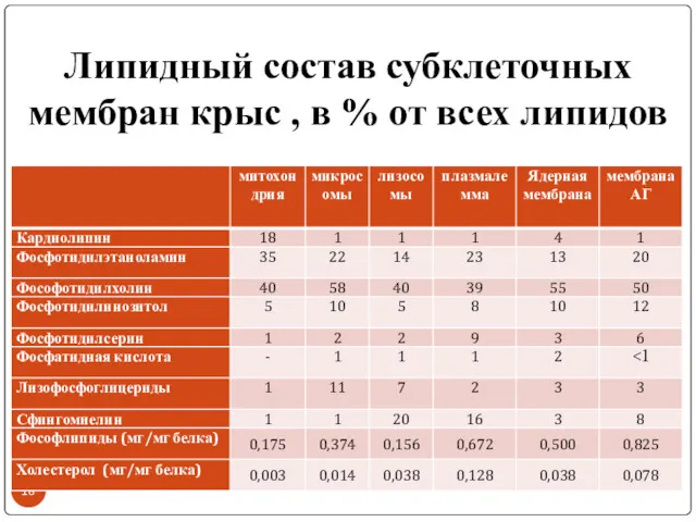 Липидный состав субклеточных мембран крыс , в % от всех липидов