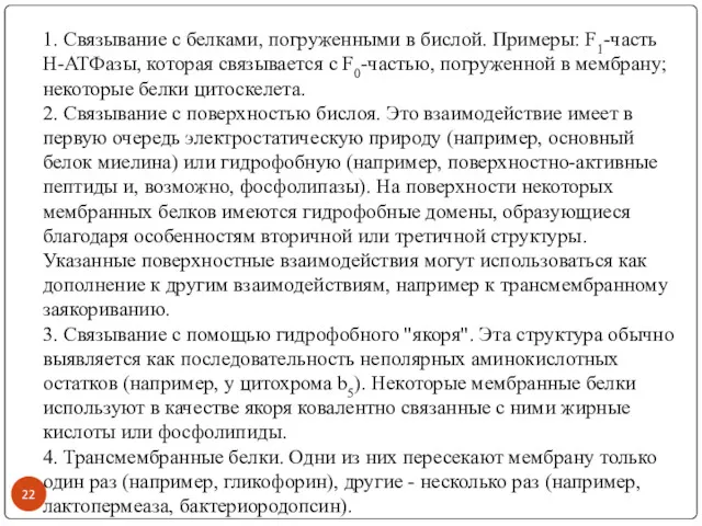 1. Связывание с белками, погруженными в бислой. Примеры: F1-часть Н-АТФазы,