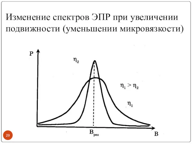 Изменение спектров ЭПР при увеличении подвижности (уменьшении микровязкости)