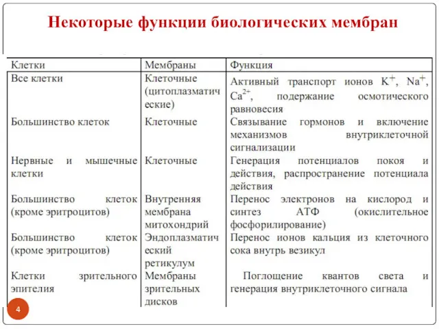 Некоторые функции биологических мембран