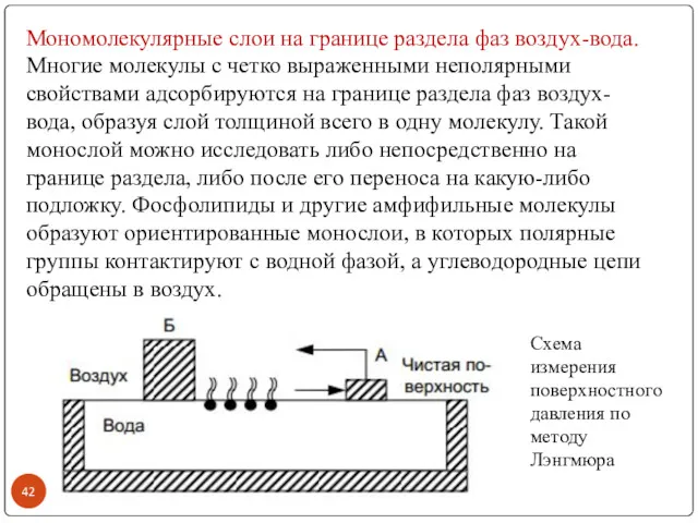 Мономолекулярные слои на границе раздела фаз воздух-вода. Многие молекулы с