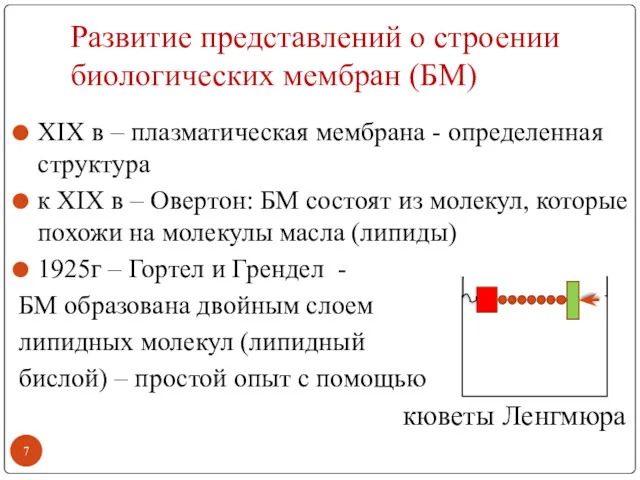 Развитие представлений о строении биологических мембран (БМ) XIX в –