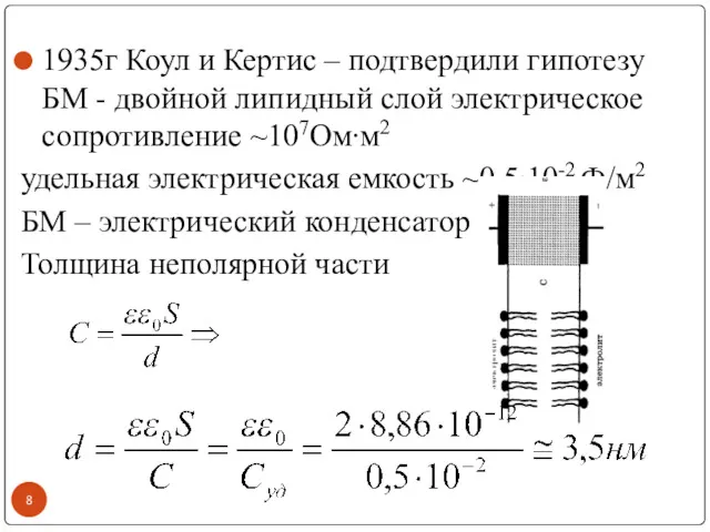 1935г Коул и Кертис – подтвердили гипотезу БМ - двойной