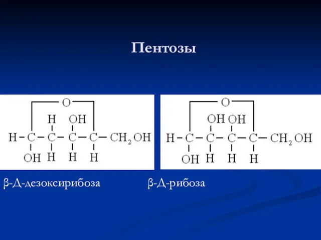 Пентозы β-Д-дезоксирибоза β-Д-рибоза