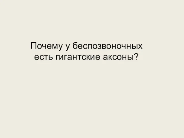 Почему у беспозвоночных есть гигантские аксоны?