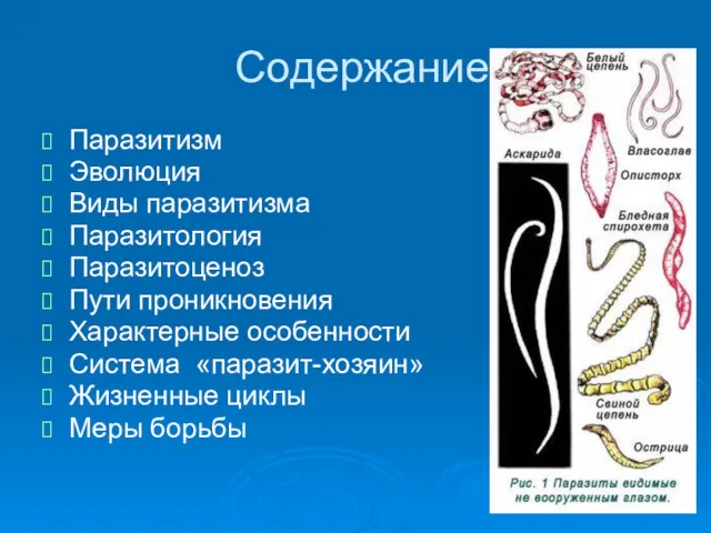 Содержание Паразитизм Эволюция Виды паразитизма Паразитология Паразитоценоз Пути проникновения Характерные