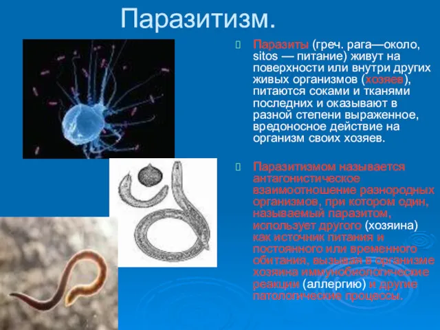 Паразитизм. Паразиты (греч. рага—около, sitos — питание) живут на поверхности