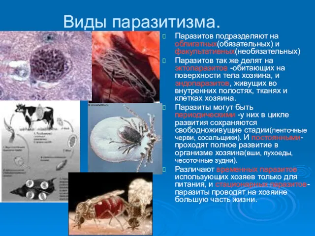 Виды паразитизма. Паразитов подразделяют на облигатных(обязательных) и факультативных(необязательных) Паразитов так